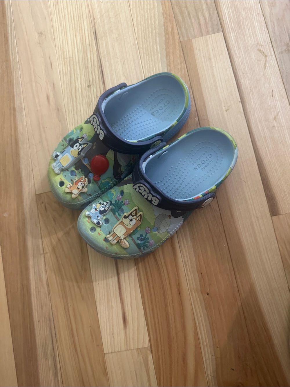 Bluey KidsGreen & Blue Lightweight Slip-On crocs size C12